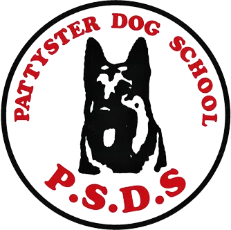 2025.06.02生まれのゴールデンレトリバーの子犬の販売を開始しました!!